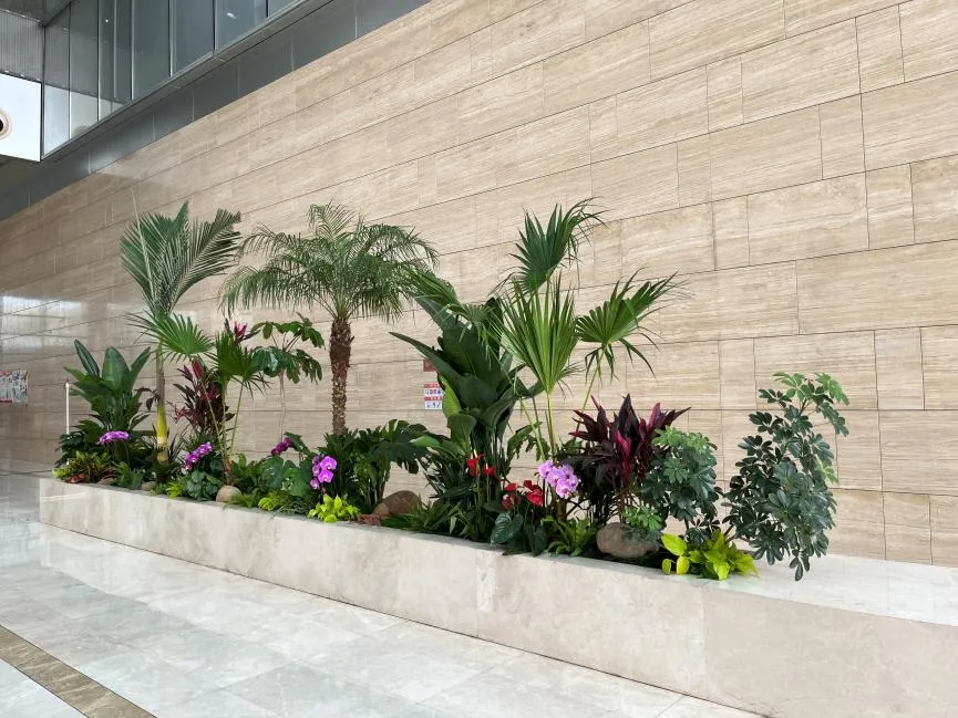 余姚绿化养护，实惠之选，打造绿色家园超省钱！